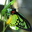 Social Connection"s.com