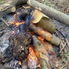 Woodland camp fire