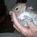 I's sorree (Is sorree.JPG)