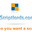 Scriptlords - Custom Software
