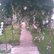 view (Image017.jpg)
