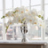 white orchids.jpg (white orchids.jpg)