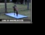 Dancing Goat (tapdancing.mov)
