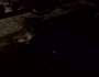 Filming some cats at my Aunt's house in Sacramento (VID00040.AVI)
