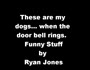 These are my dogs...when the door bell rings (correct video) (dogsanddoorbells.wmv)