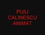 puiu calinescu animat (PUIU CALINESCU ANIMAT.avi)