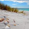 Sea Shore