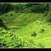 landscape - amazing view