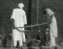 Teamwork.avi (Teamwork.avi)