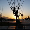 izmir 