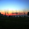 sunset in izmir beach.