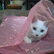 Blanca in the bag (CIMG1696.JPG)