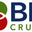 BigCrumbs Cash Back Shopping and Small Biz Opportunity