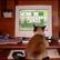 cat playing games.jpg (cat playing games.jpg)